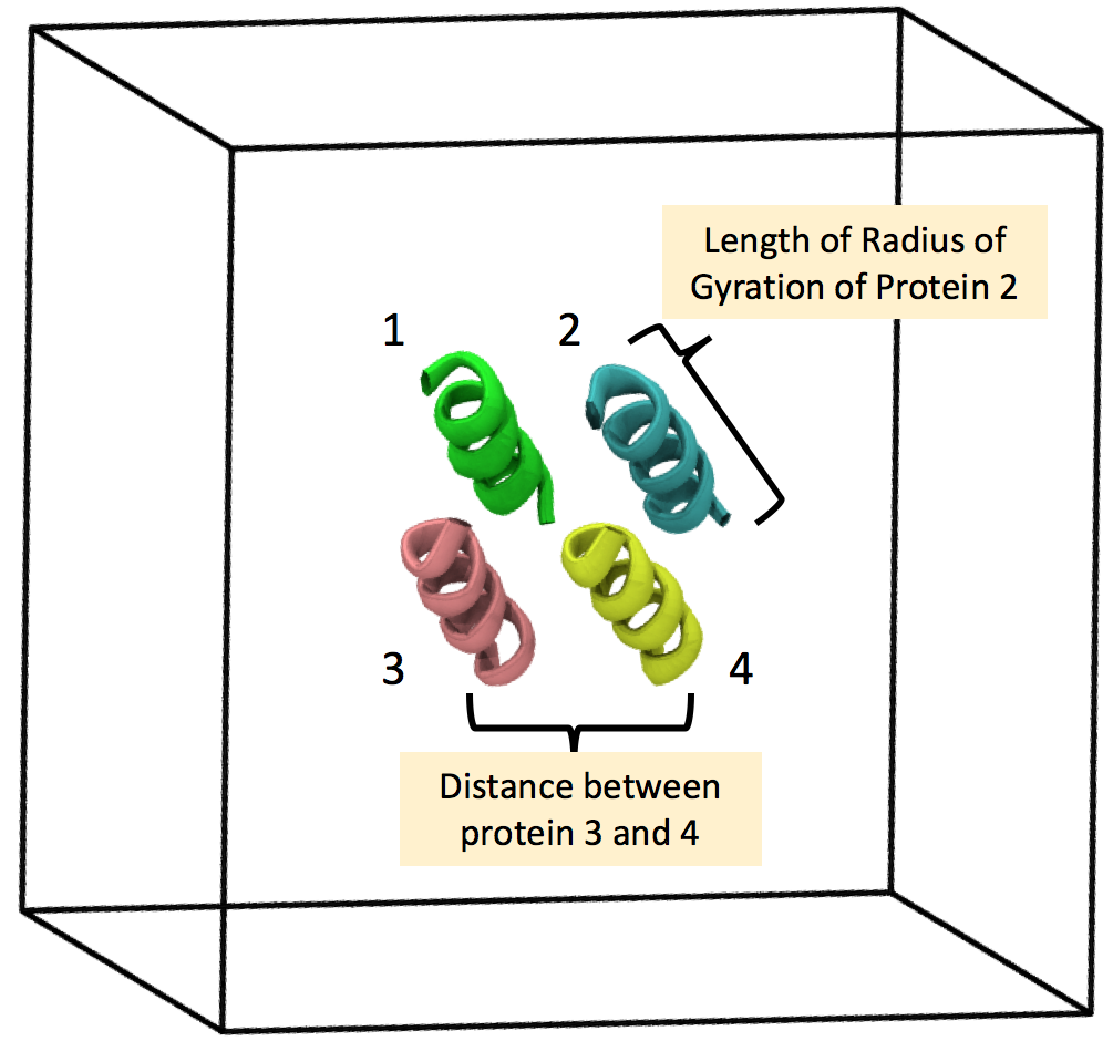 Pictorial description of protein simulation